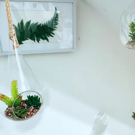 Hanei * La Laguna (Tenerife)